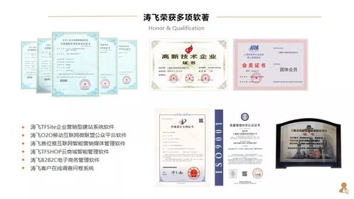 上市集團(tuán)公司構(gòu)建全球化數(shù)字培訓(xùn)體系的路徑與實(shí)踐——基于互聯(lián)網(wǎng)技術(shù)服務(wù)的視角